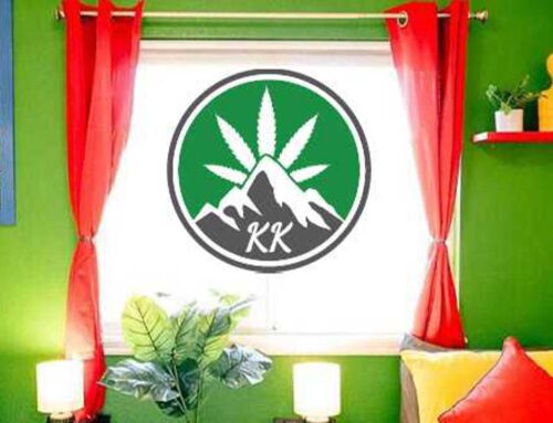 12 reasons to embrace the Winter Bliss at KushKations Elevation
